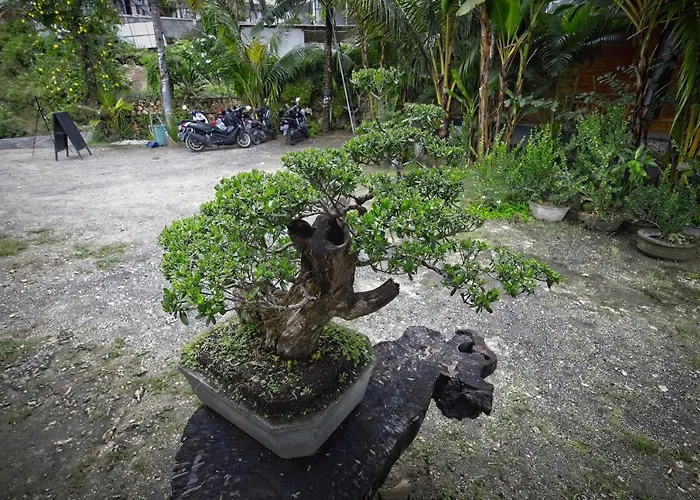 Indah Nusa Penida ゲストハウス Sakti