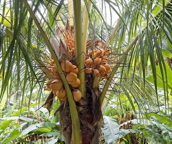 Indah Nusa Penida Sakti